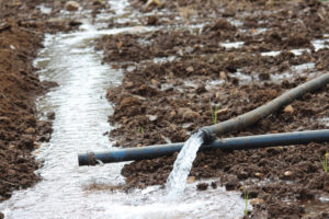Why Groundwater Management is important?