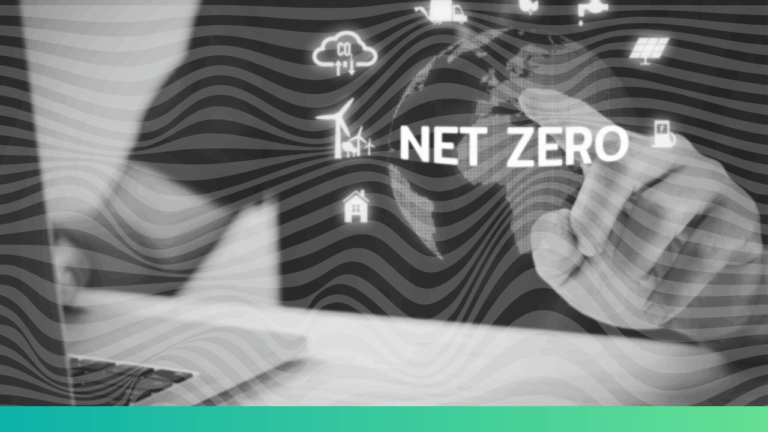 What is NetZero?