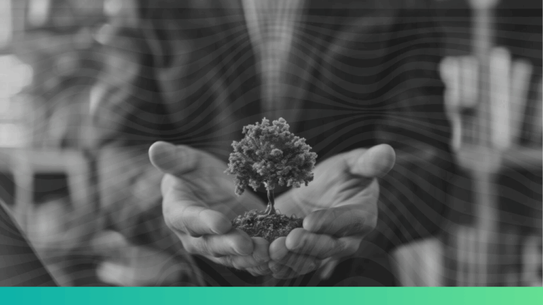  6 Best sustainability management practices
