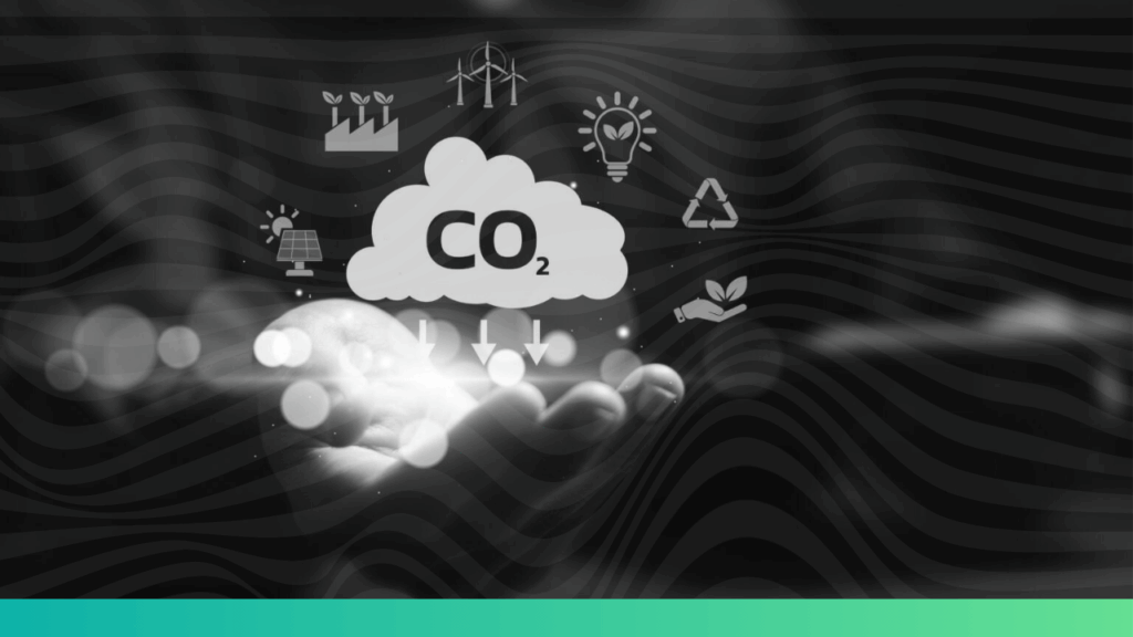 Carbon emissions data management by EU importers