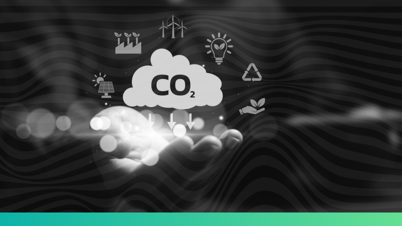 Carbon emissions data management by EU importers
