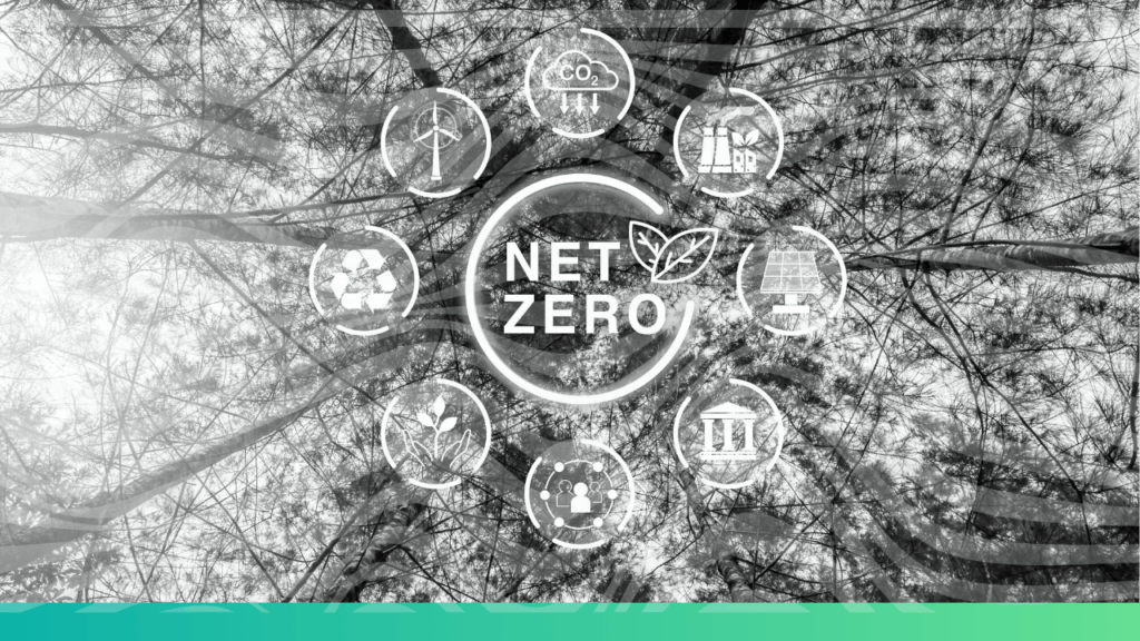 net-zero