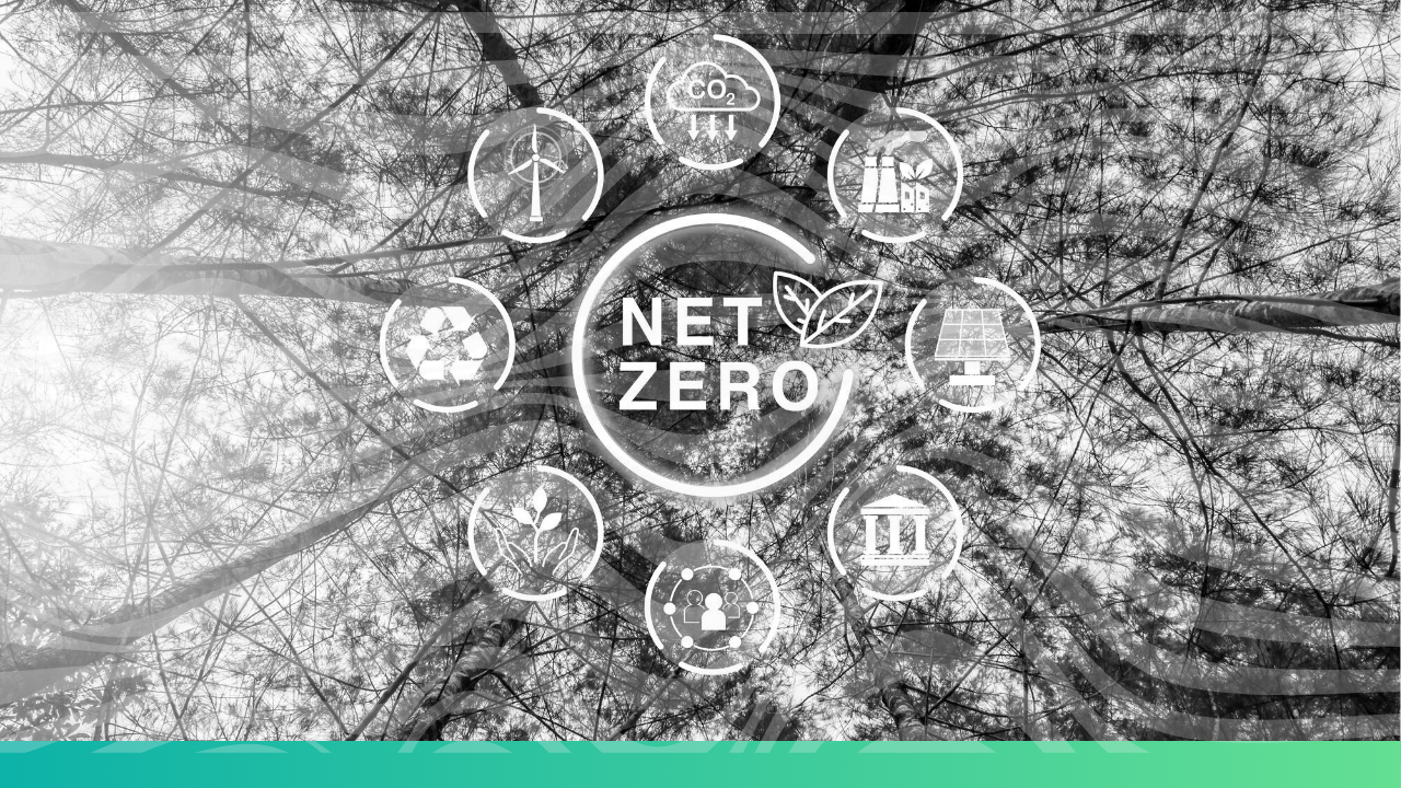 net-zero