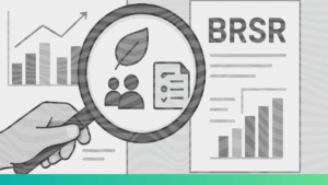Guide to understanding BRSR
