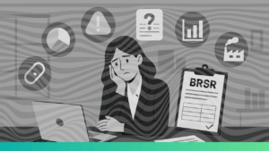 BRSR report mistakes